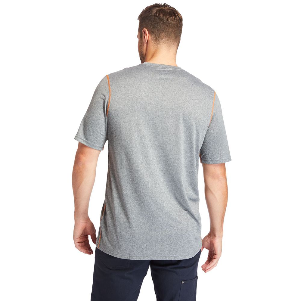 Camisetas Timberland Hombre Pro® Big & Tall Wicking Good Sport Short-Sleeve Gris - Chile QSV-473196